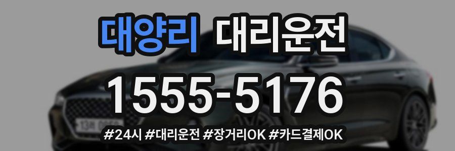 대양리 대리운전