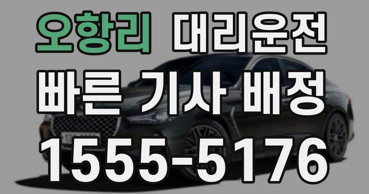 일일대리기사