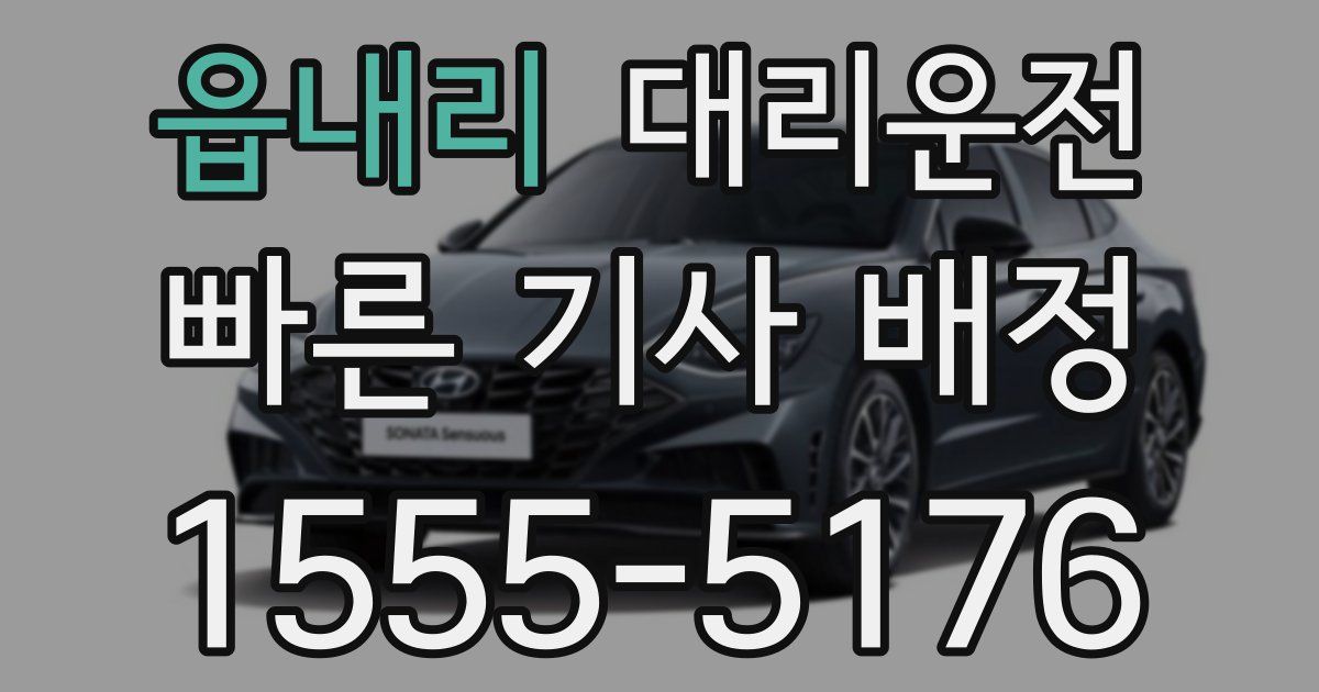 일일대리기사