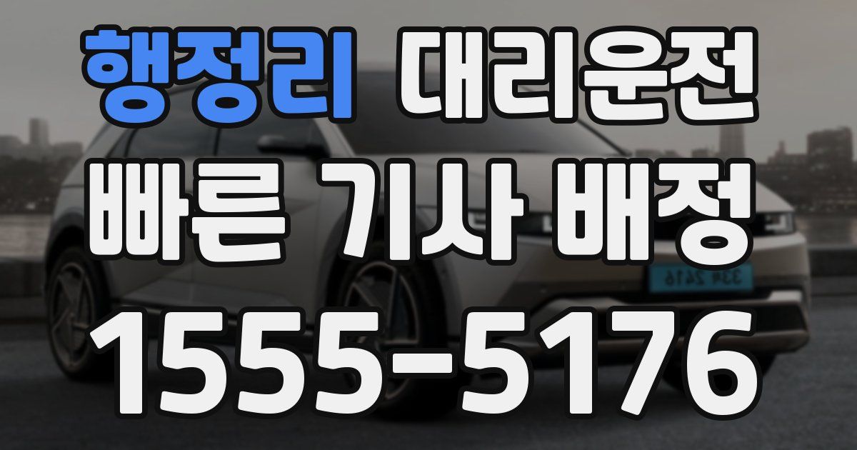 일일대리기사