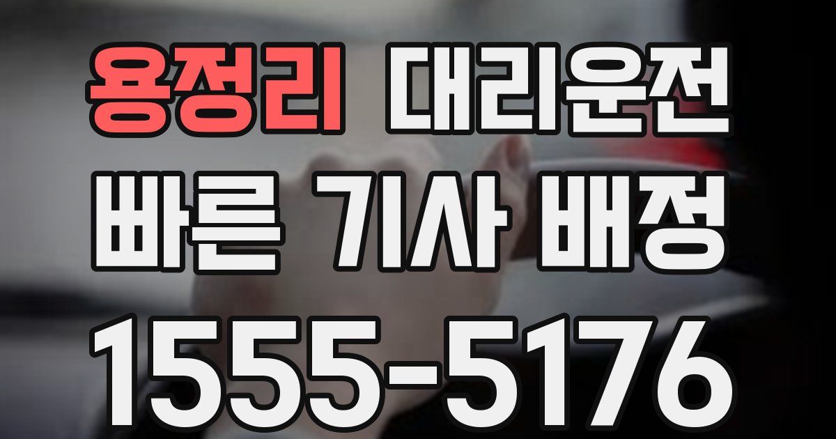 일일대리기사
