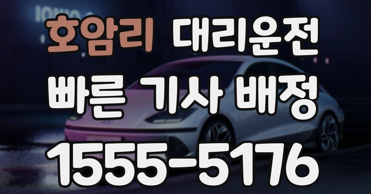 일일대리기사
