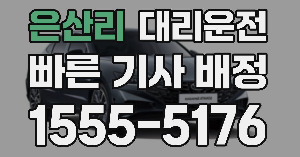 일일대리기사