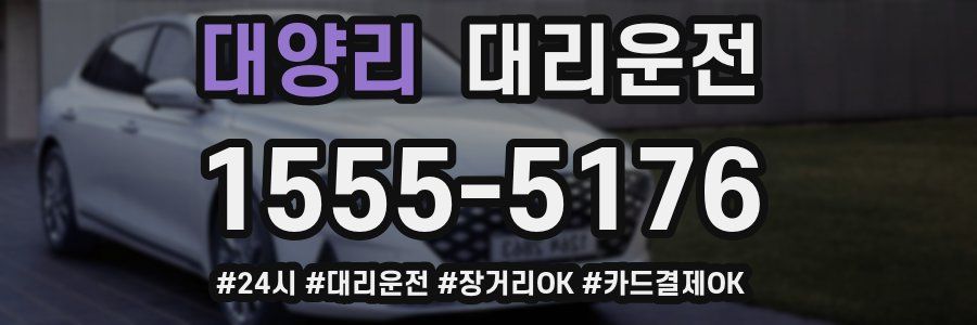 대양리 대리운전