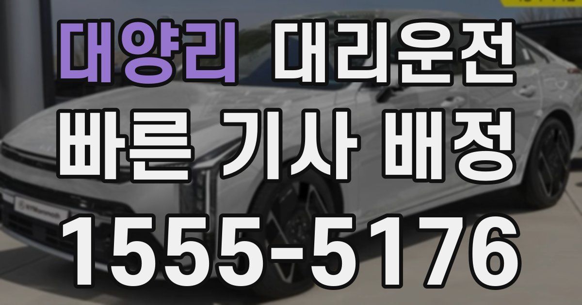 일일대리기사