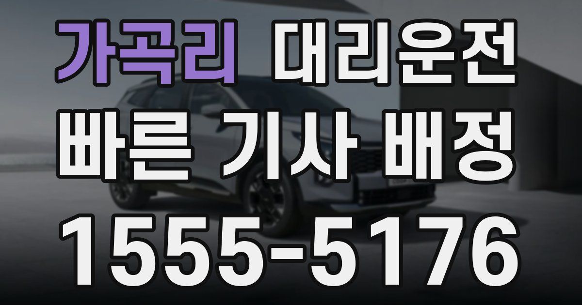 일일대리기사