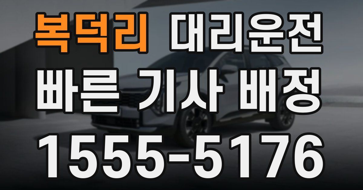 일일대리기사