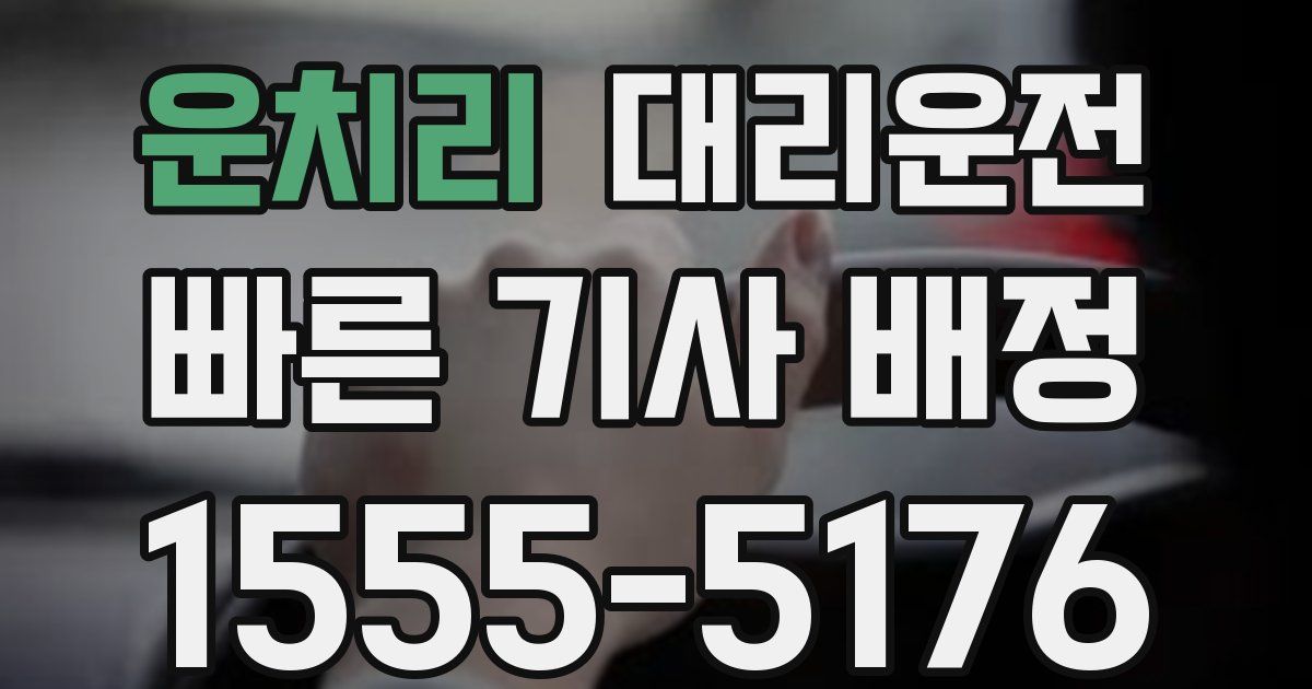 일일대리기사