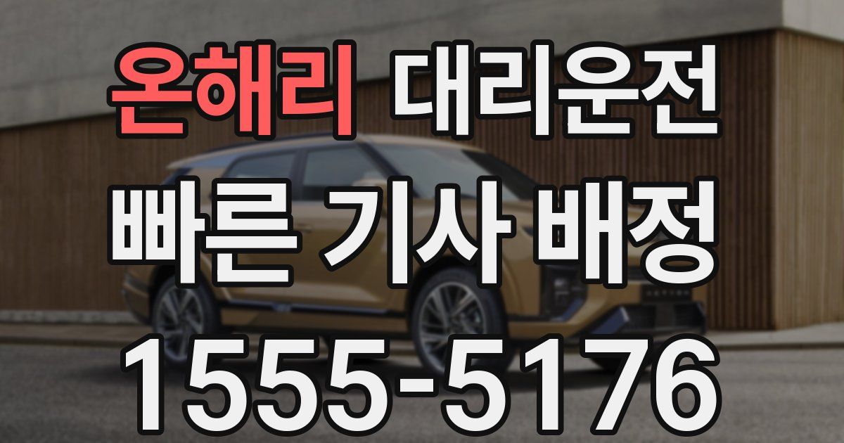 일일대리기사