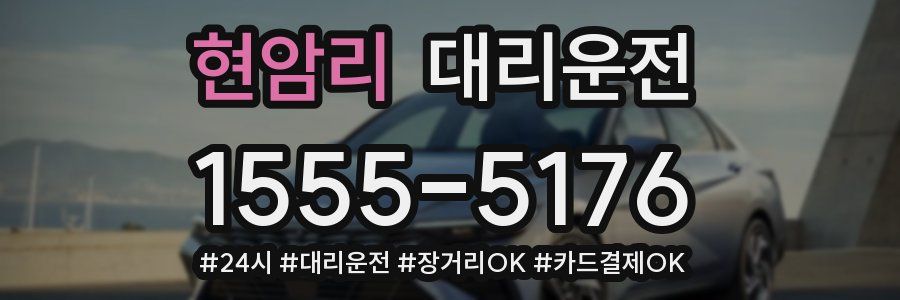 현암리 대리운전