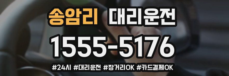 송암리 대리운전
