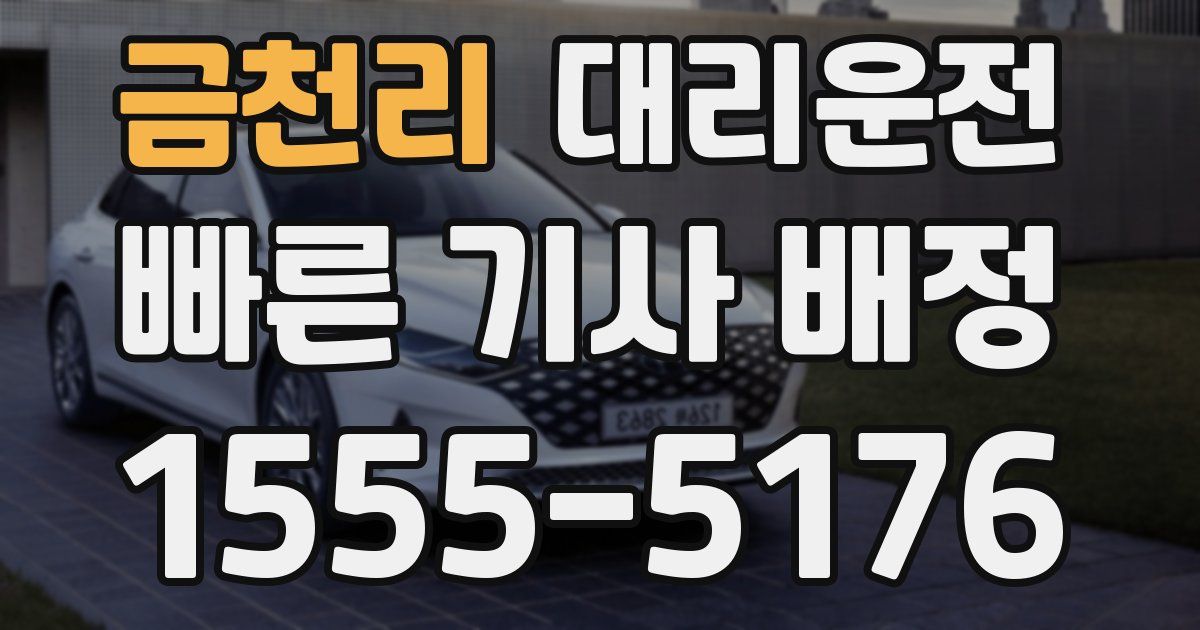 일일대리기사