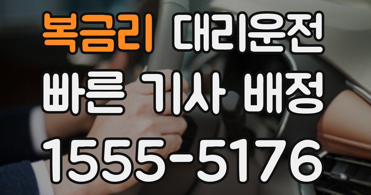 일일대리기사