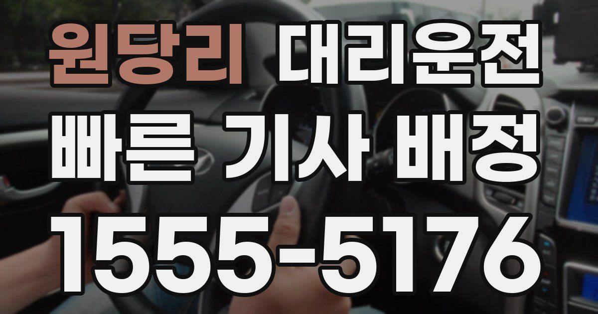 일일대리기사