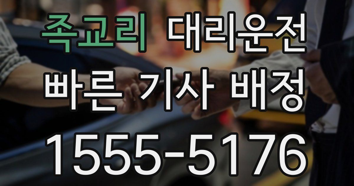 일일대리기사