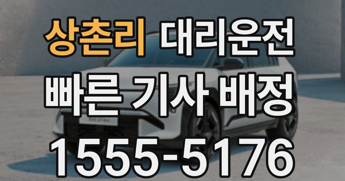 일일대리기사