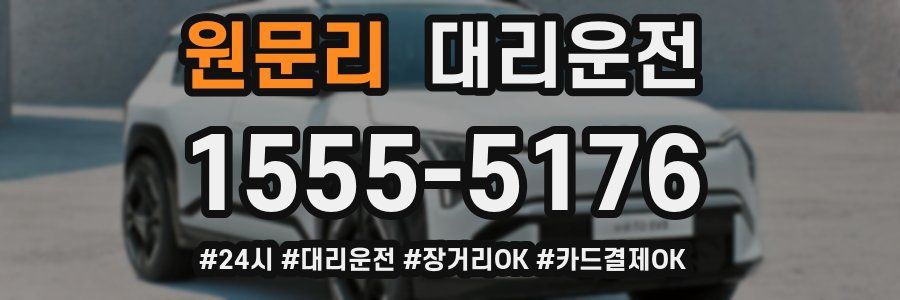 원문리 대리운전