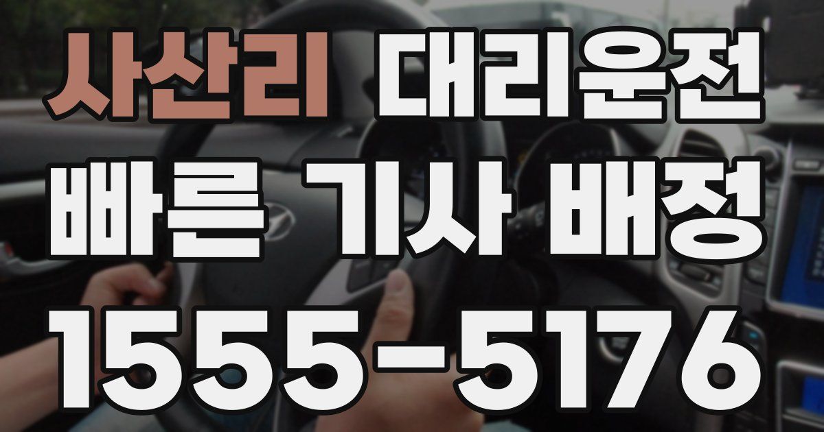 일일대리기사