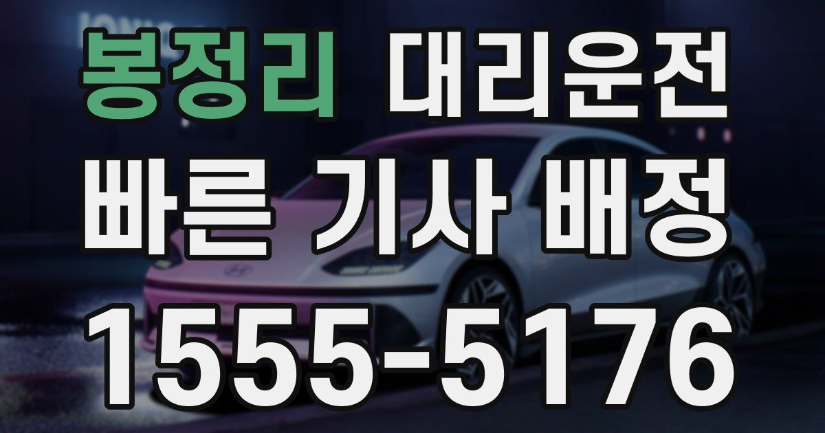 일일대리기사
