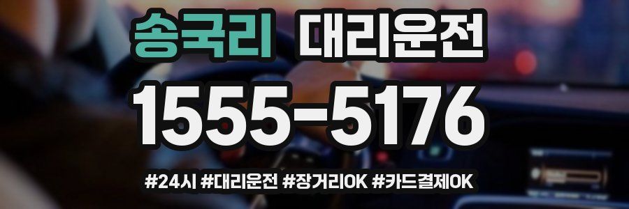 송국리 대리운전
