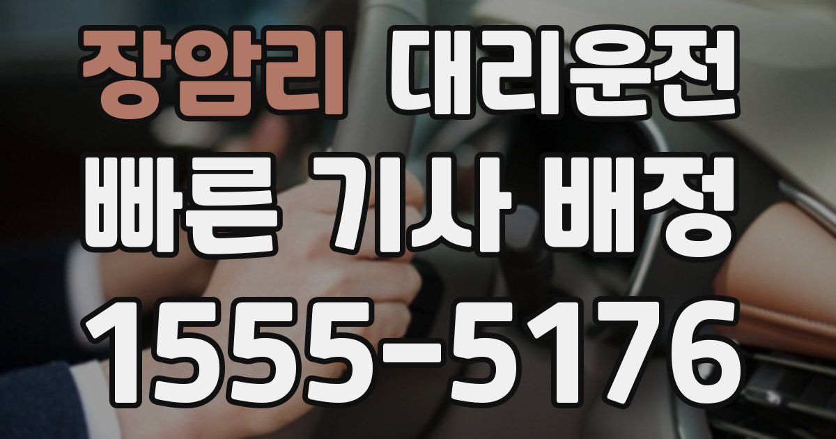 일일대리기사