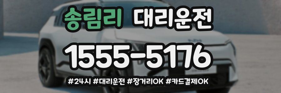 송림리 대리운전