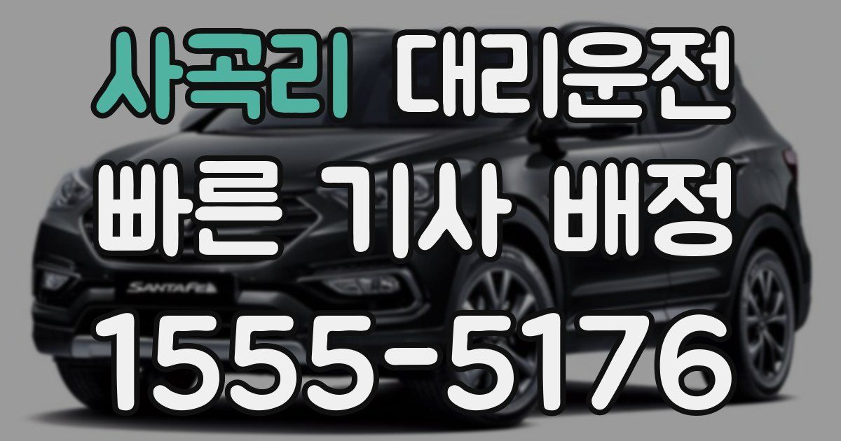 일일대리기사