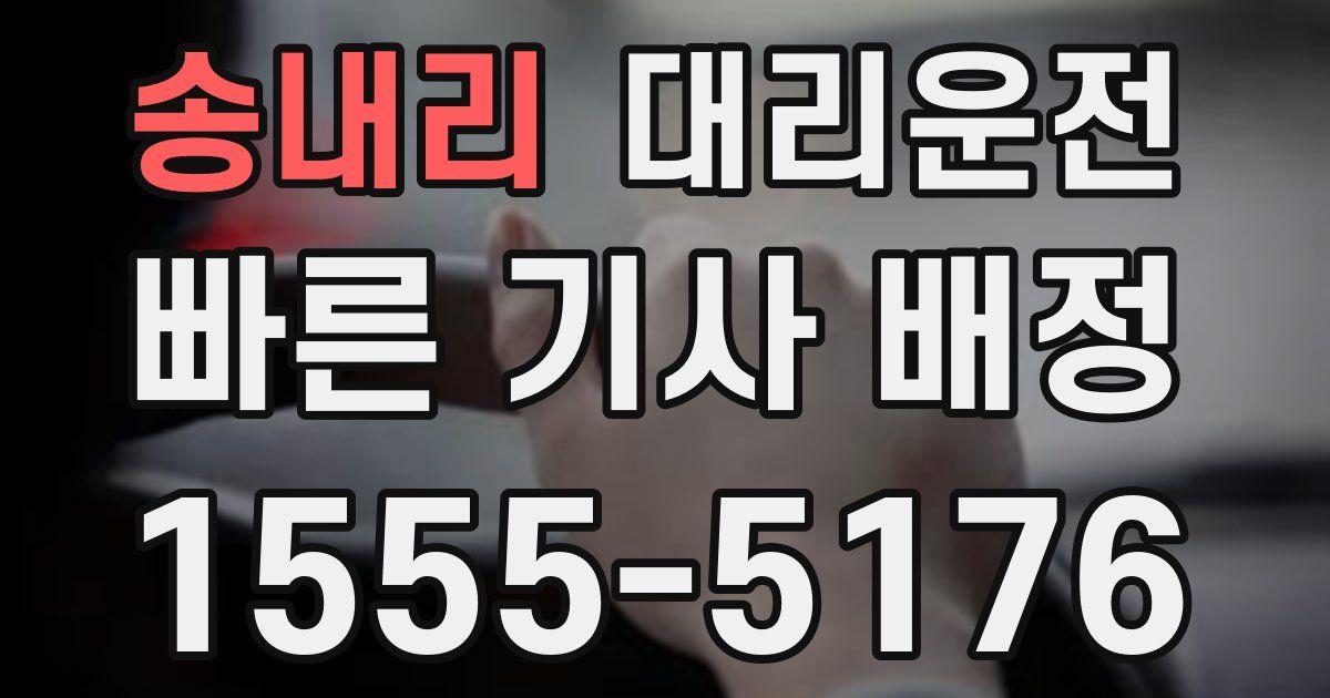 일일대리기사