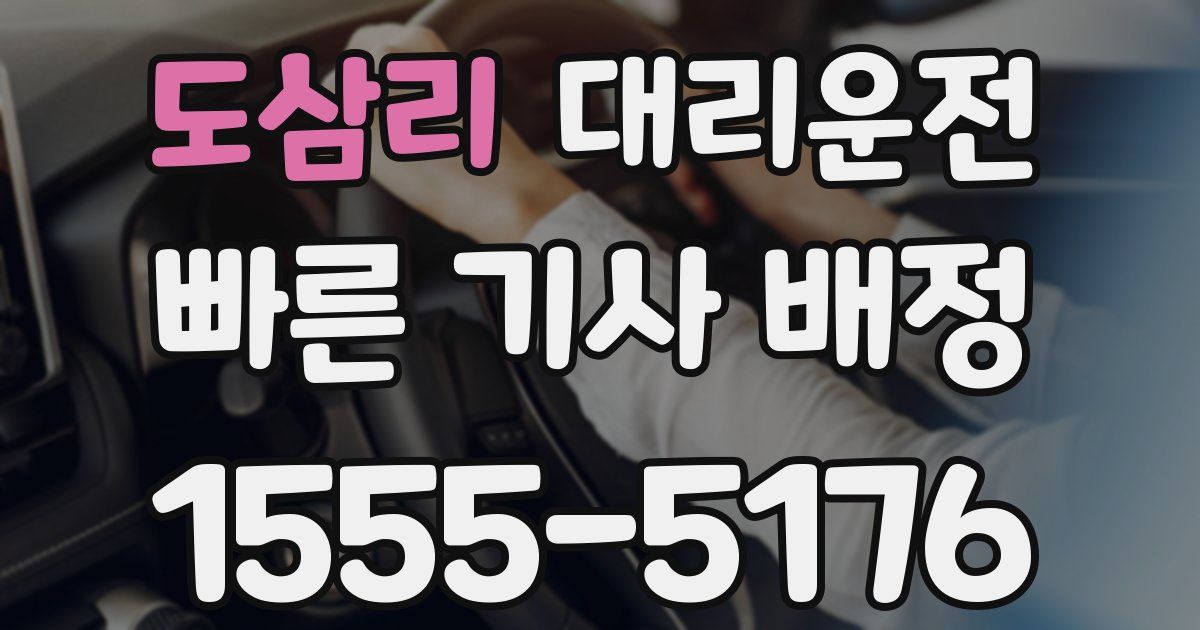 일일대리기사