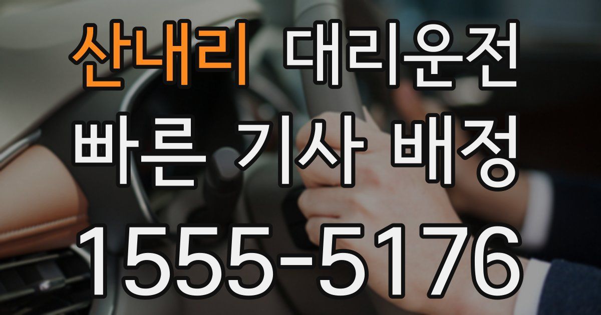 일일대리기사