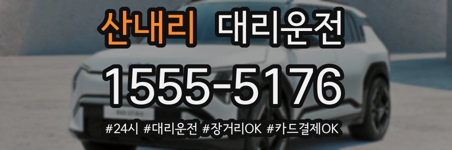 산내리 대리운전