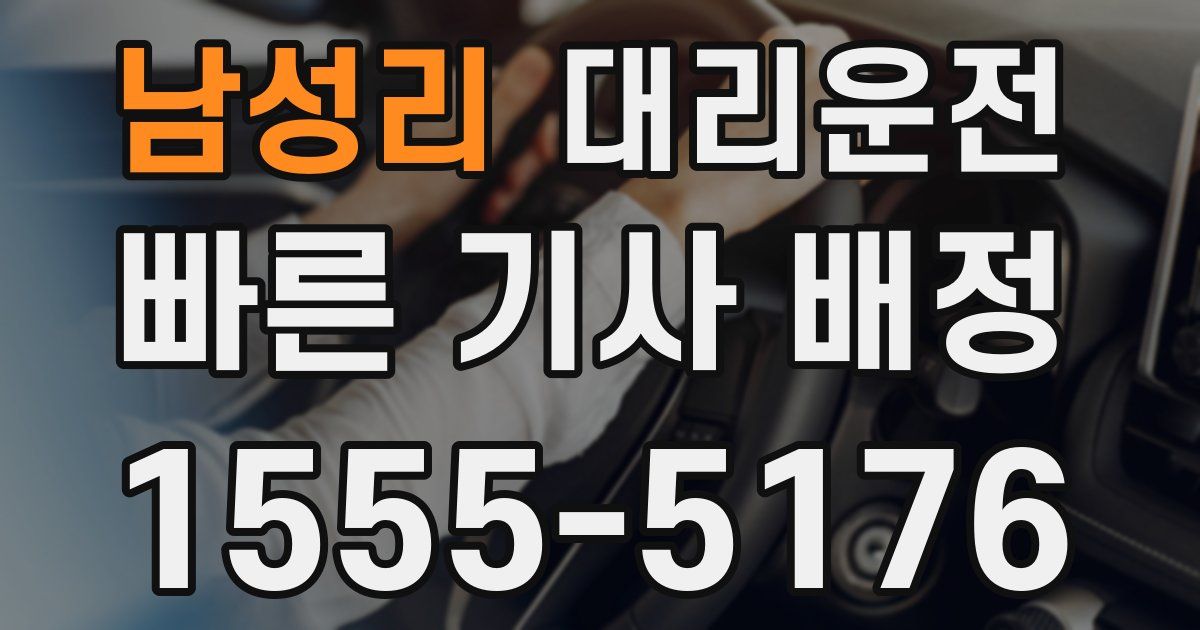 일일대리기사