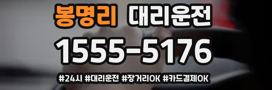 봉명리 대리운전