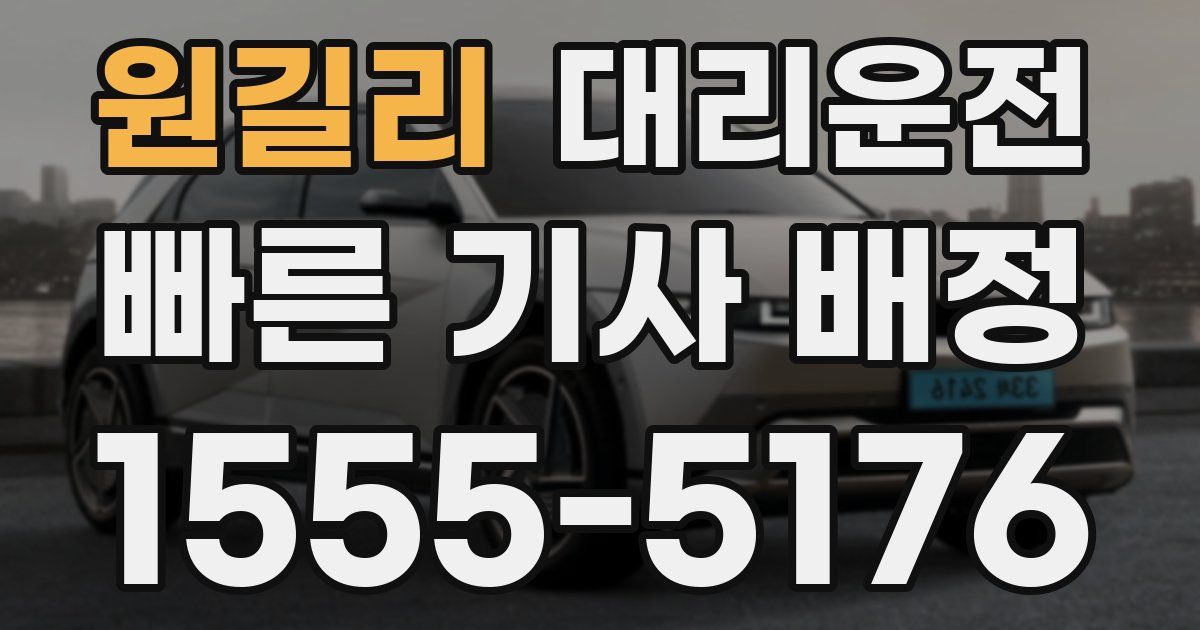 일일대리기사