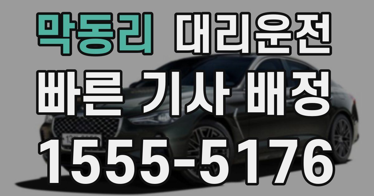 일일대리기사