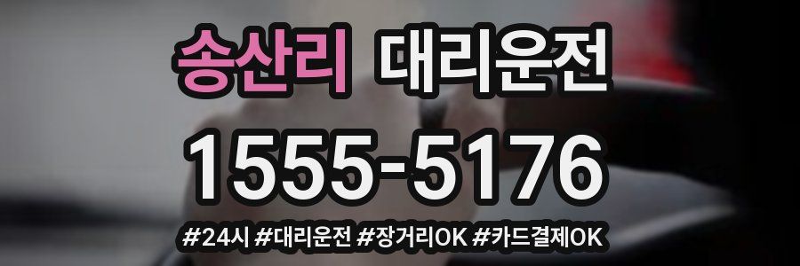 송산리 대리운전