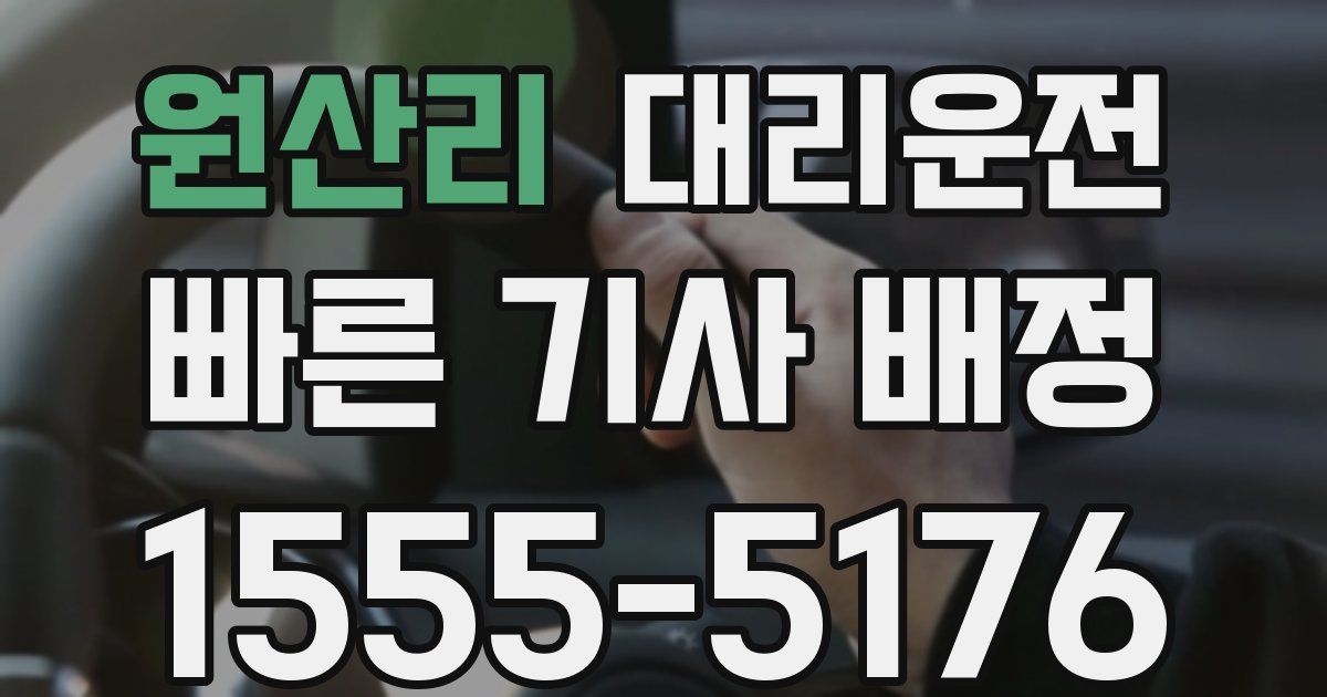 일일대리기사