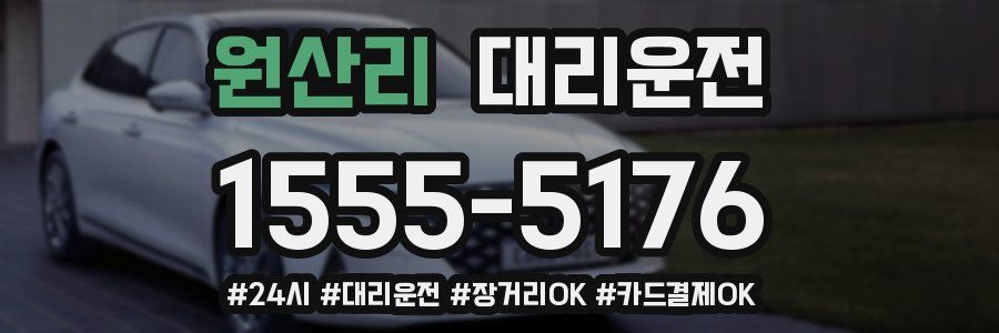 원산리 대리운전