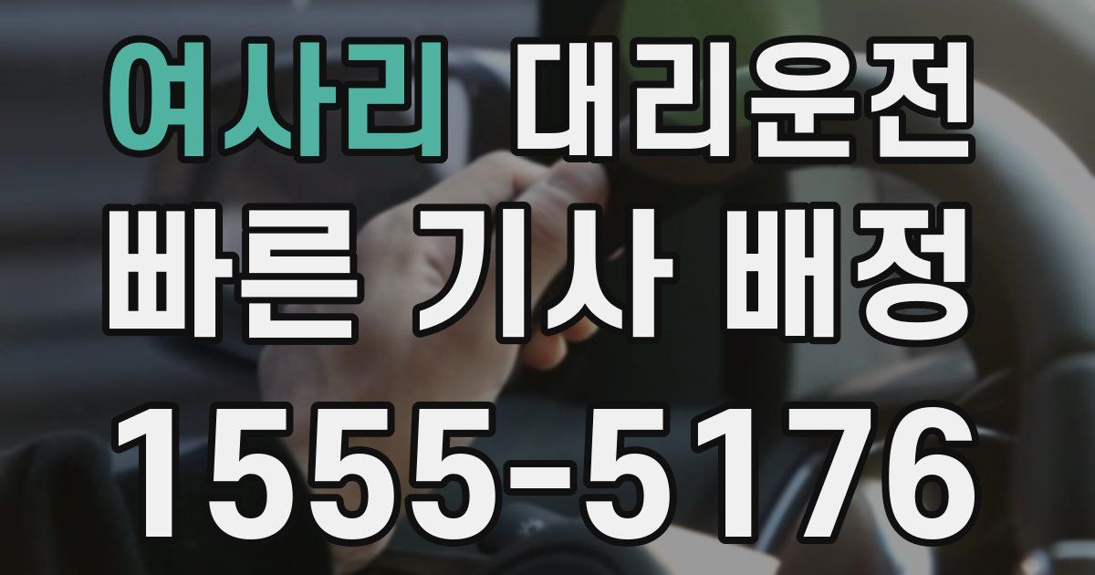 일일대리기사