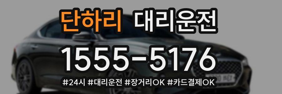 단하리 대리운전