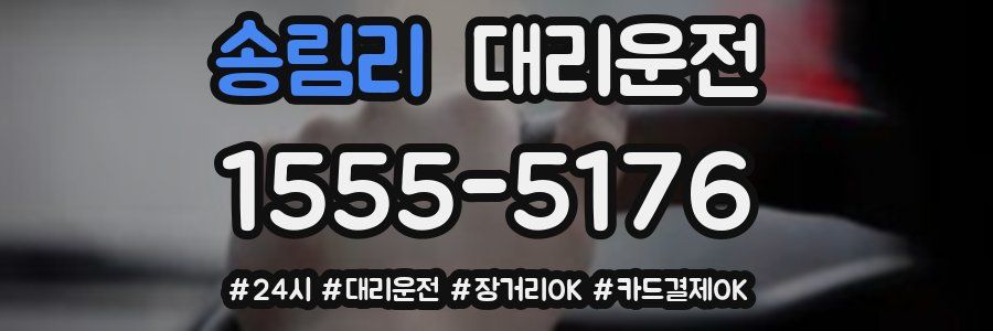 송림리 대리운전