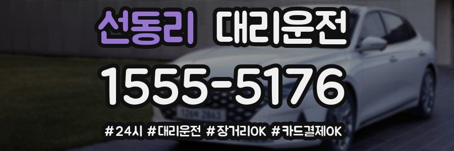 선동리 대리운전