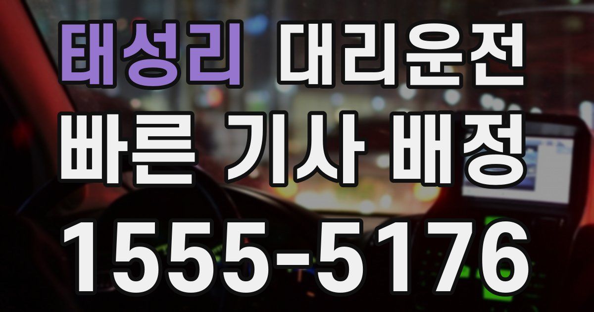 일일대리기사