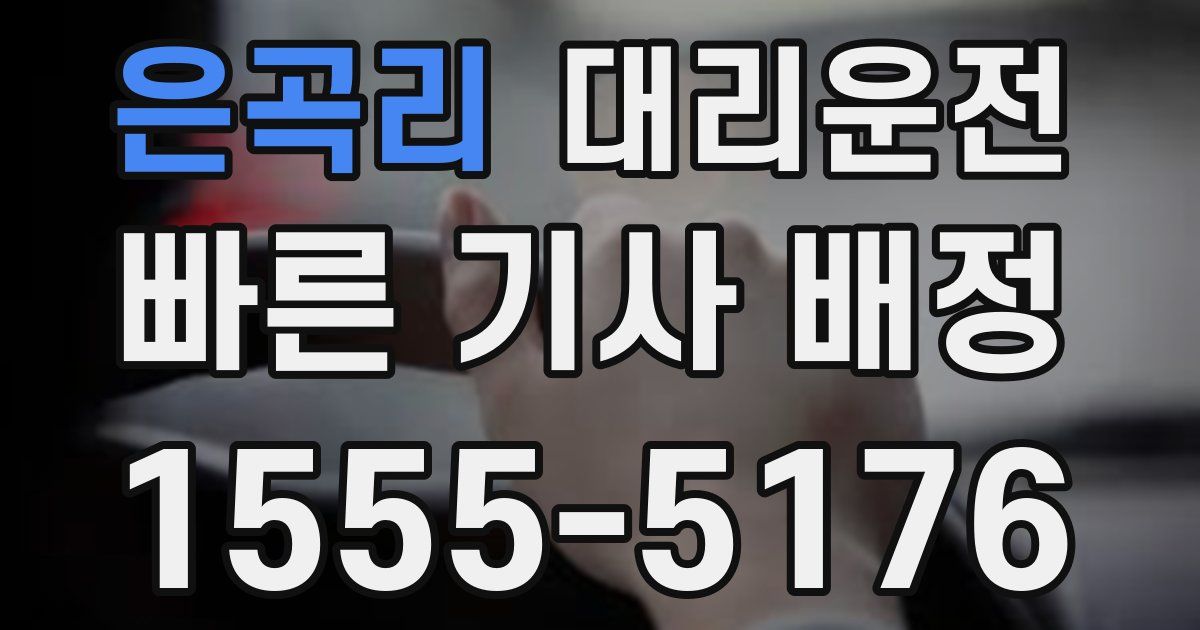 일일대리기사