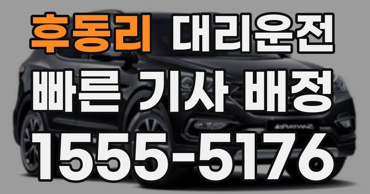 일일대리기사