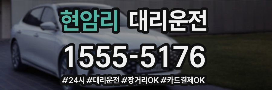 현암리 대리운전