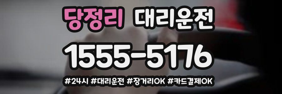 당정리 대리운전