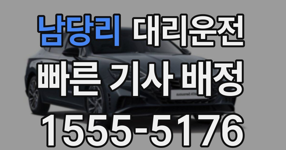 일일대리기사