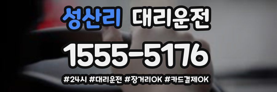 성산리 대리운전