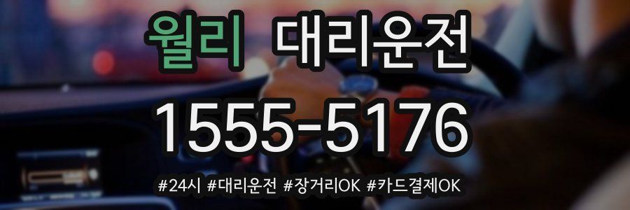 월리 대리운전